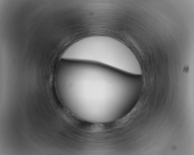 X0000102820124200808181034