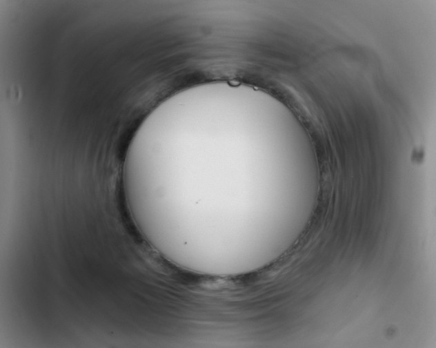 X0000102820125200808181034