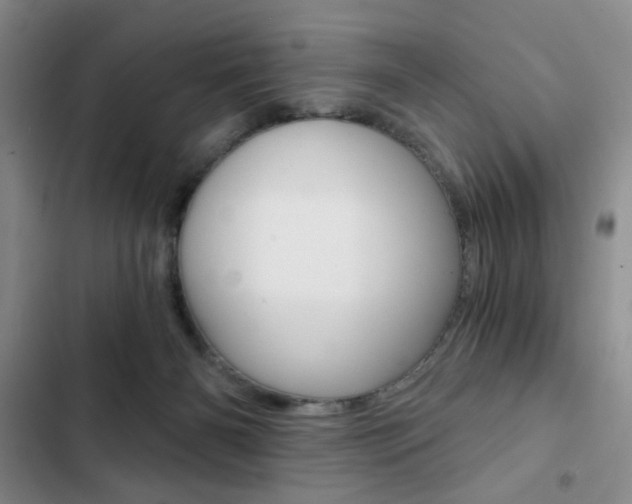 X0000102820126200808181034
