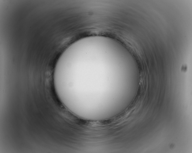 X0000102820127200808181034