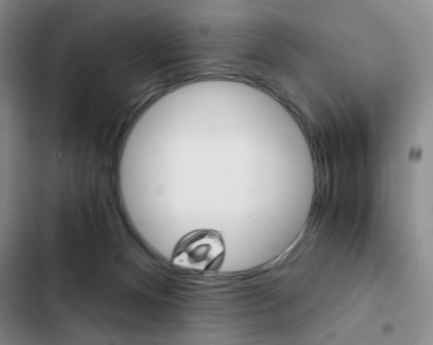 X0000102820128200808181034