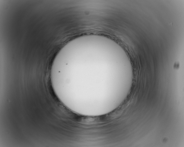 X0000102820129200808181034