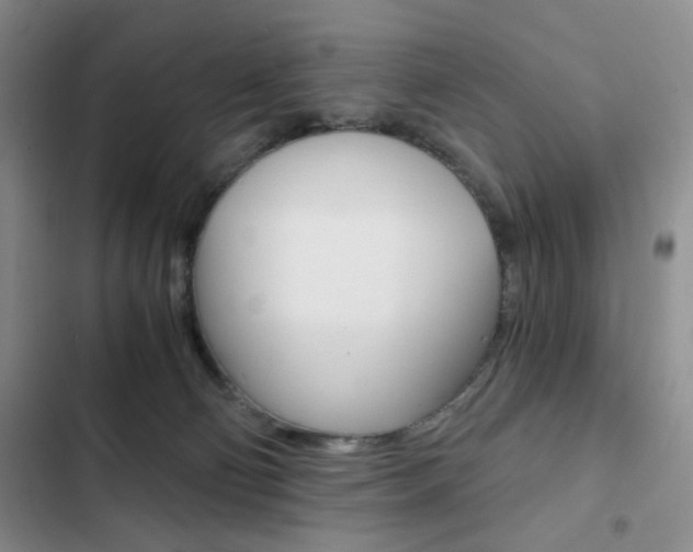 X0000102820130200808181034
