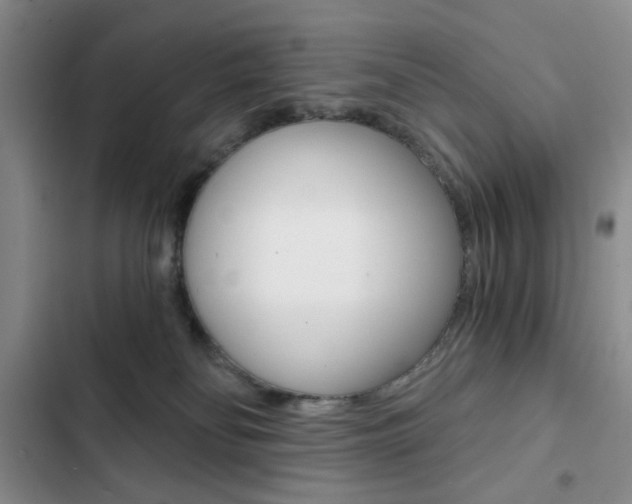 X0000102820134200808181034