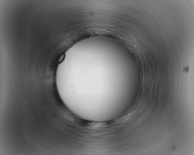 X0000102820135200808181034