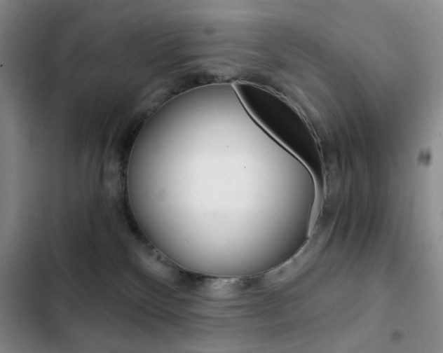 X0000102820136200808181034