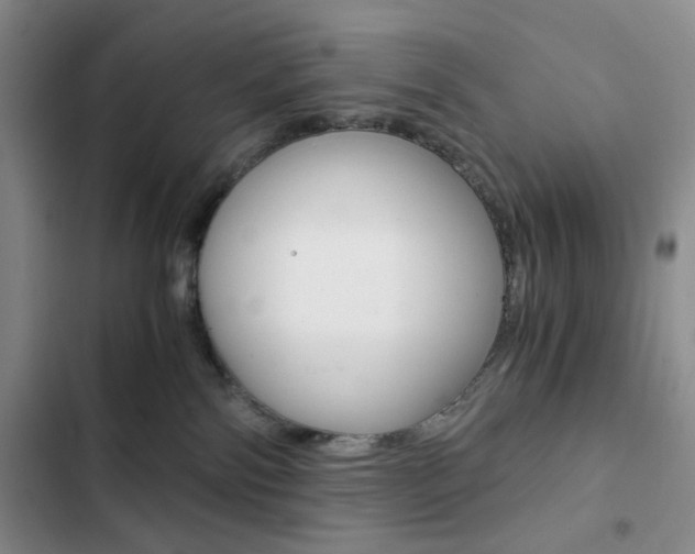 X0000102820138200808181034