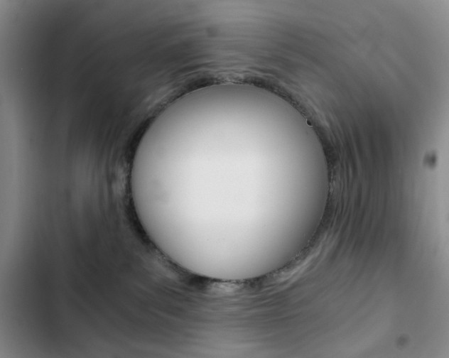 X0000102820139200808181034