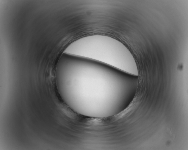 X0000102820140200808181034