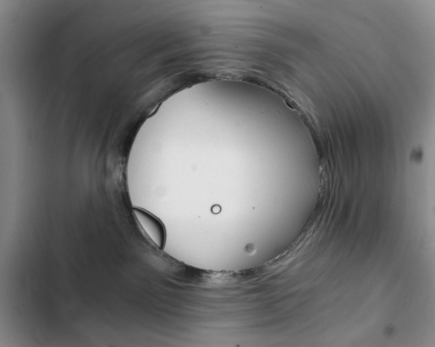 X0000102820141200808181034