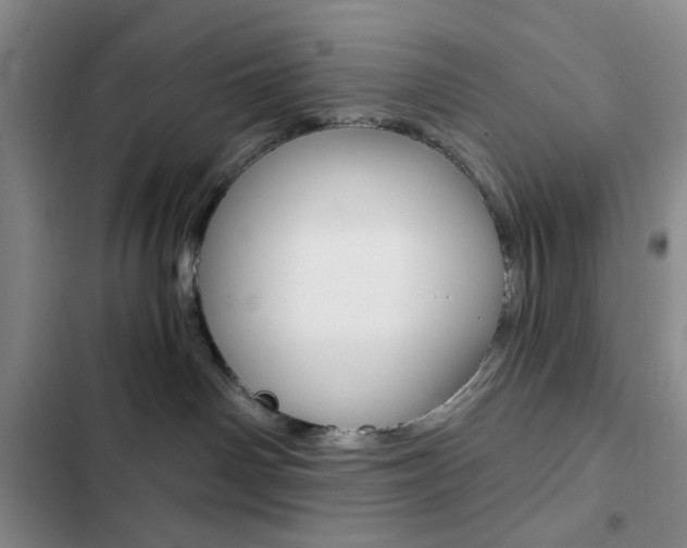 X0000102820142200808181034