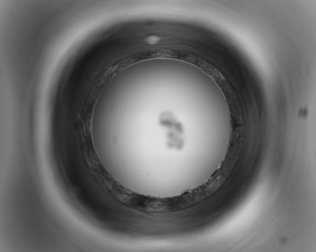 X0000102820143200808181034