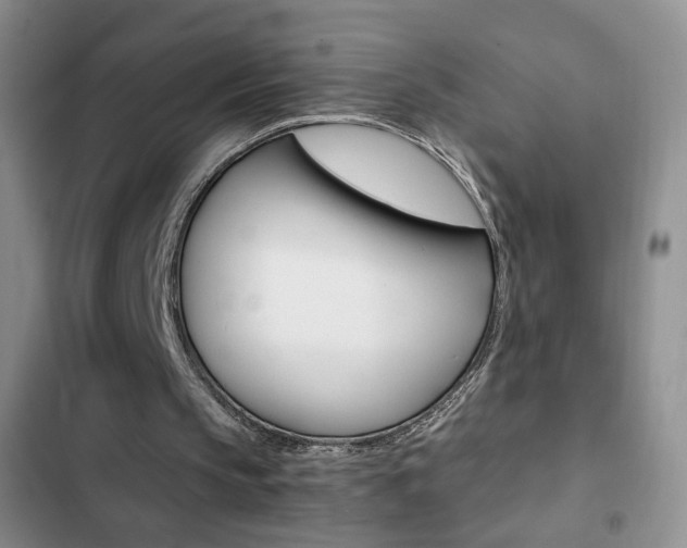 X0000102820145200808181033