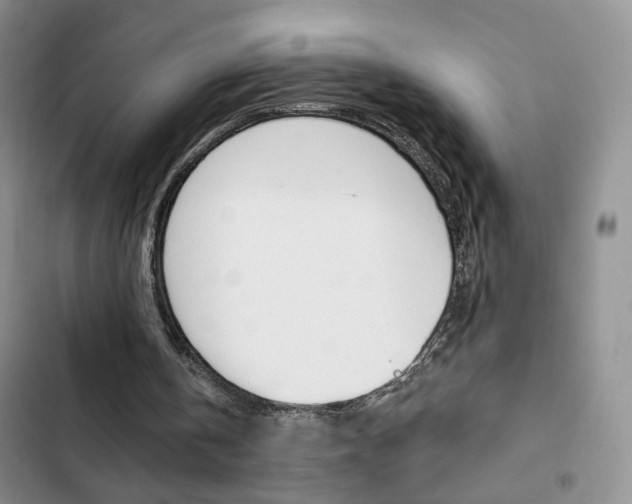 X0000102820146200808181033