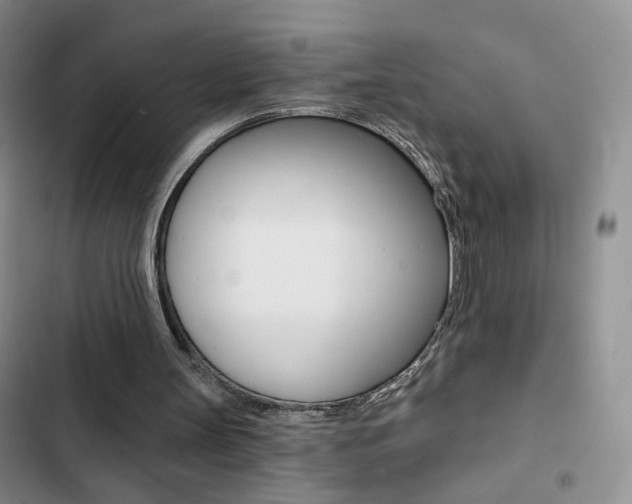 X0000102820147200808181033