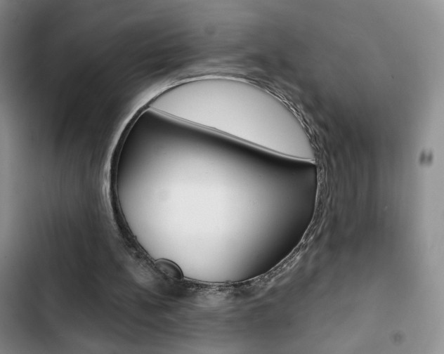 X0000102820148200808181033