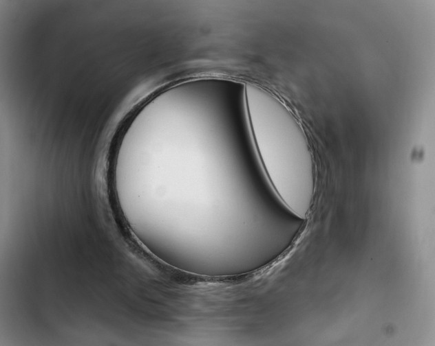 X0000102820150200808181033