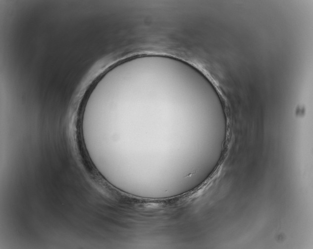 X0000102820151200808181034
