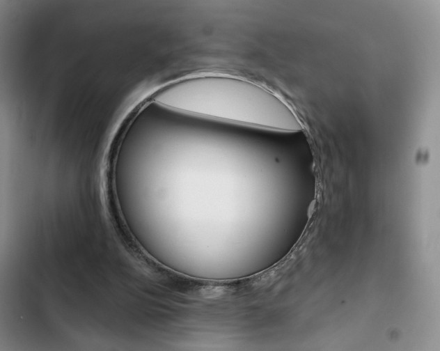 X0000102820152200808181034