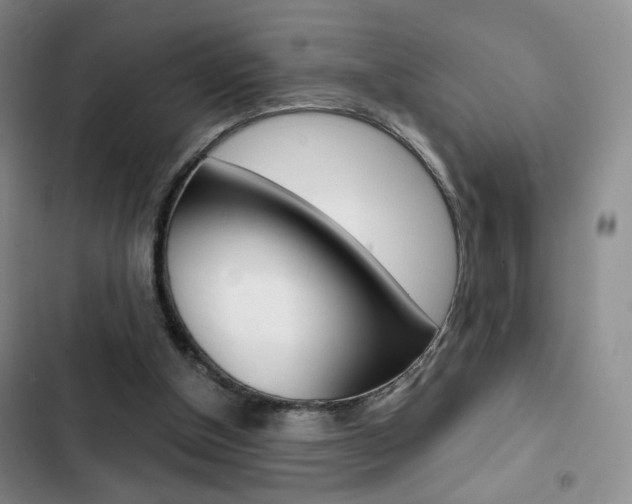 X0000102820154200808181034
