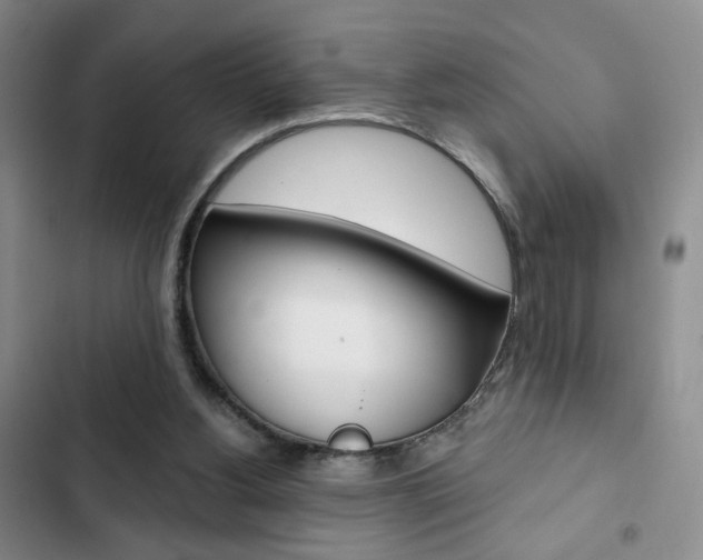 X0000102820156200808181034