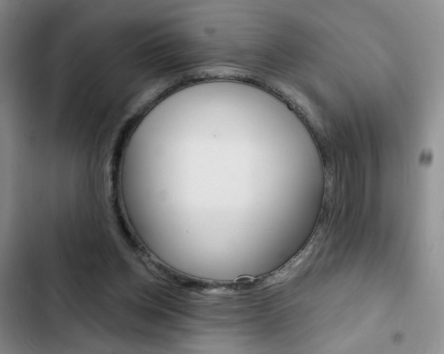 X0000102820158200808181034