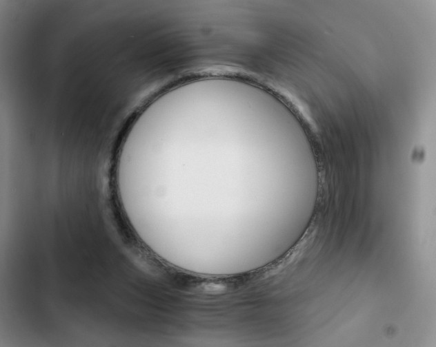 X0000102820159200808181034