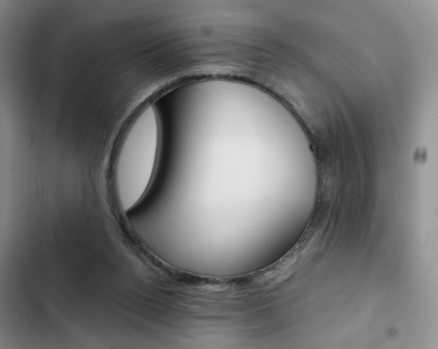 X0000102820160200808181034