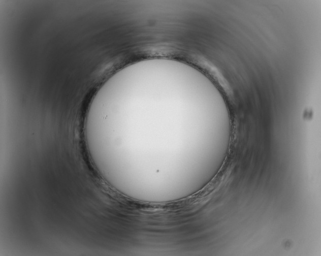 X0000102820161200808181034