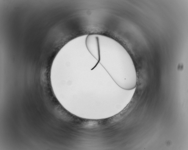 X0000102820162200808181034