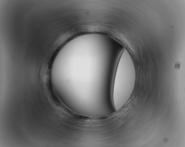 X0000102820164200808181034