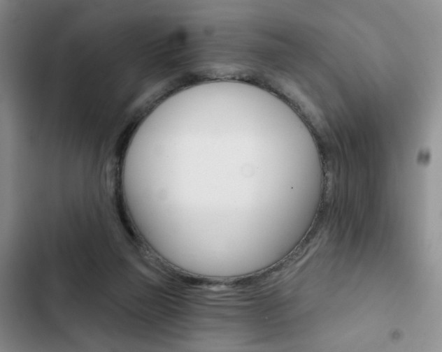X0000102820165200808181034