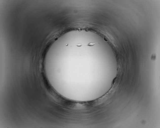 X0000102820166200808181034