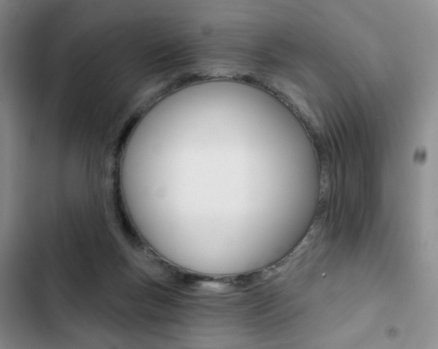 X0000102820167200808181034
