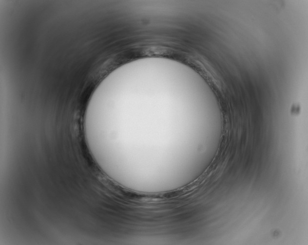 X0000102820169200808181034