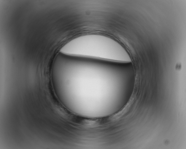 X0000102820170200808181034