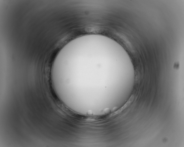 X0000102820171200808181034