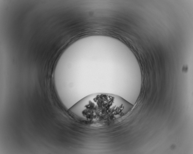 X0000102820172200808181034