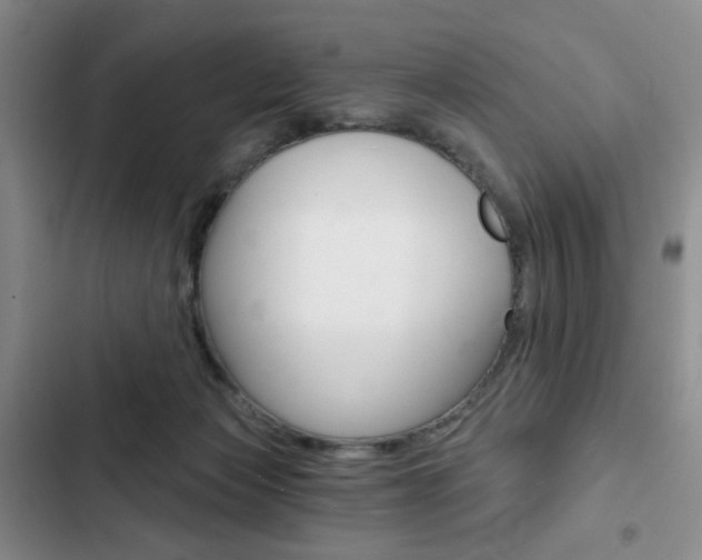 X0000102820173200808181034