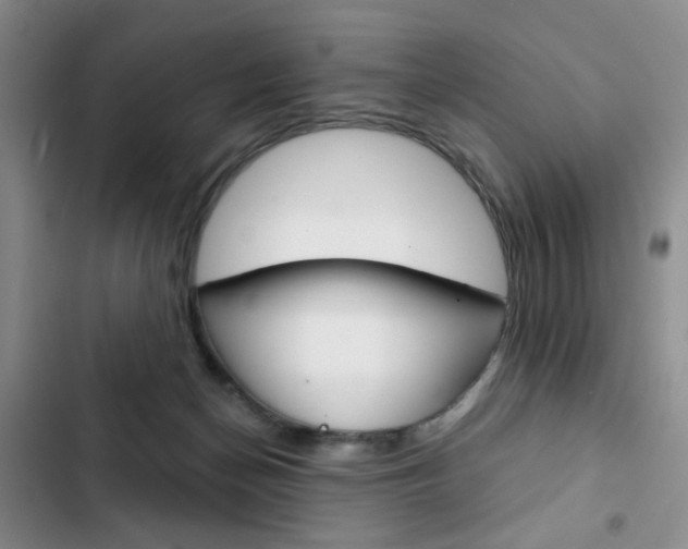 X0000102820174200808181034