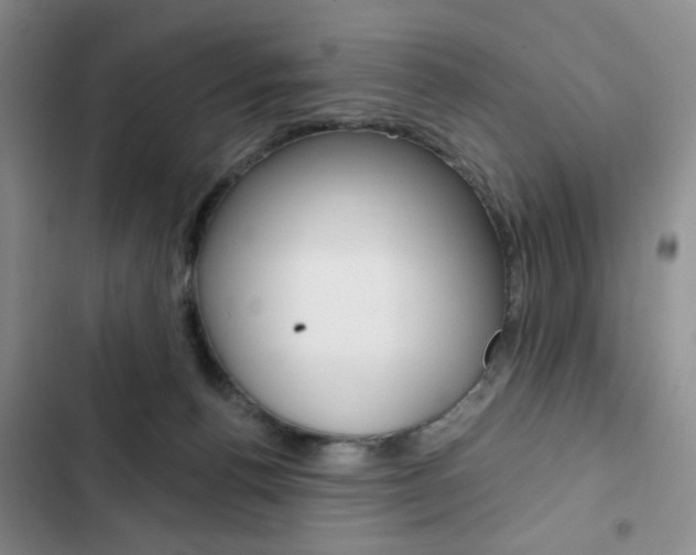 X0000102820176200808181034