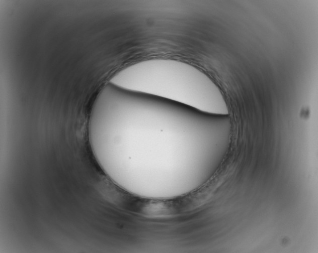 X0000102820177200808181034