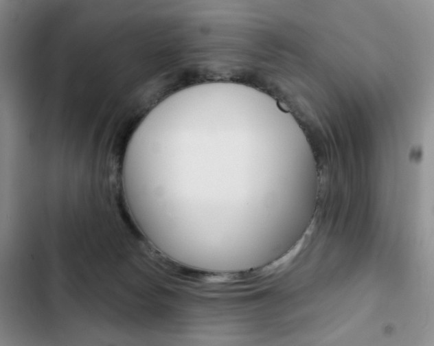 X0000102820178200808181034