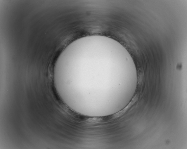 X0000102820179200808181034