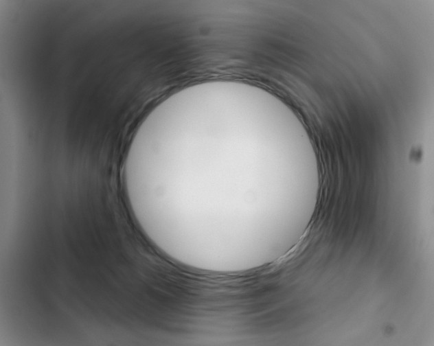 X0000102820180200808181034