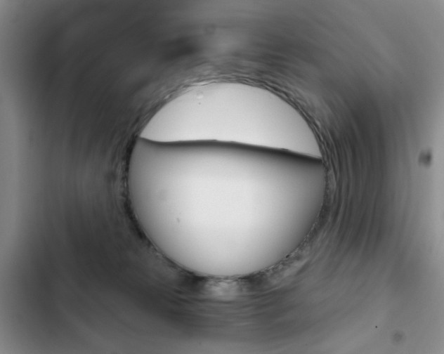 X0000102820181200808181034