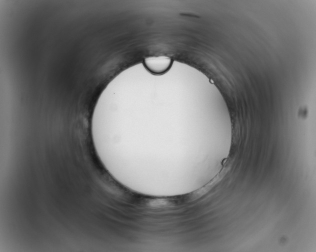 X0000102820183200808181034
