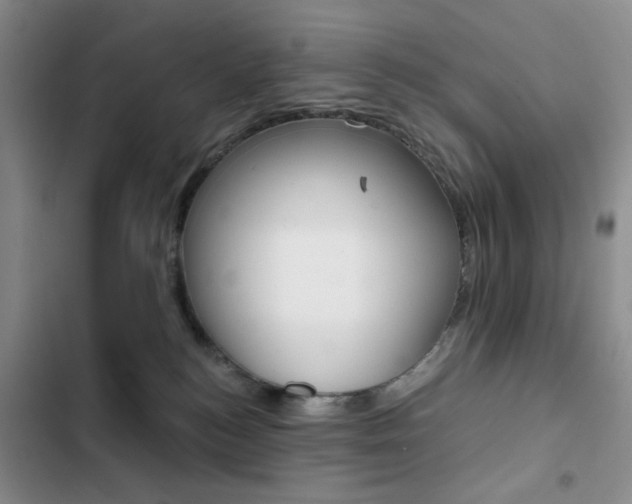 X0000102820184200808181034