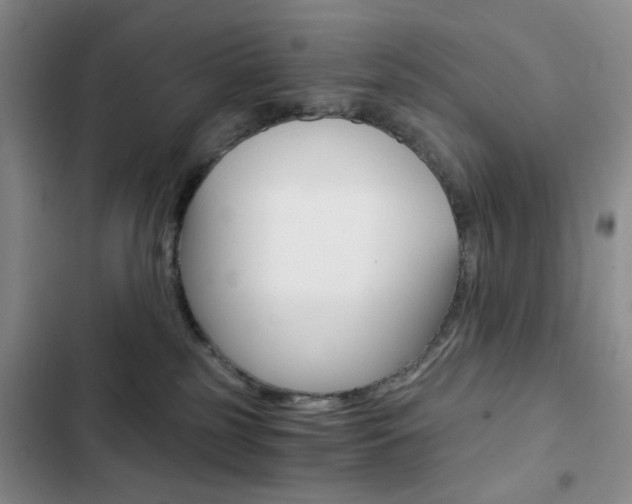 X0000102820185200808181034