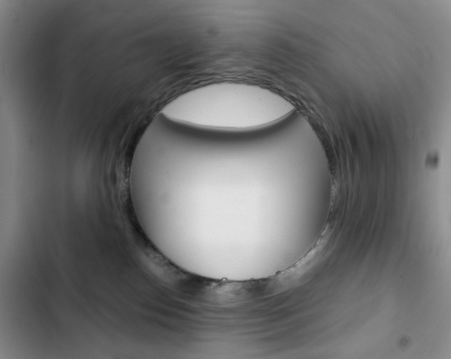 X0000102820186200808181034
